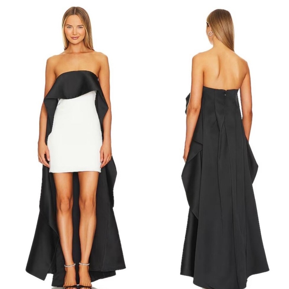 Alice and Olivia Theda Dress!